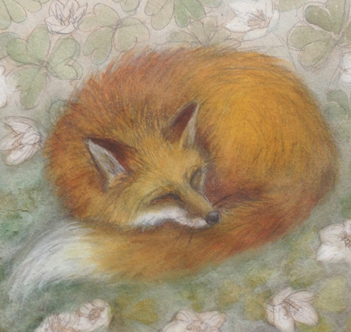 foxsleeping